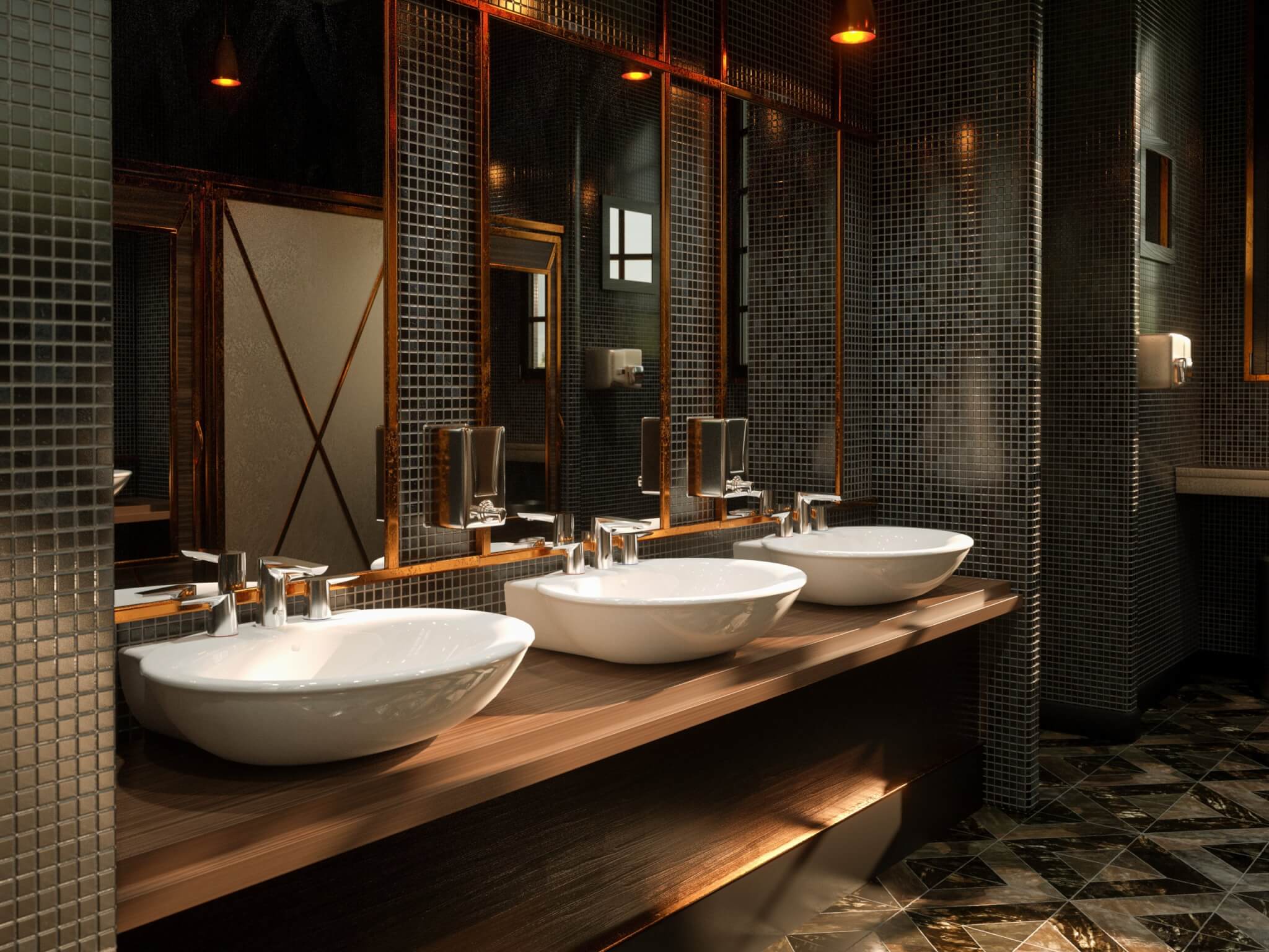Sanitary Plumbing & Drainage